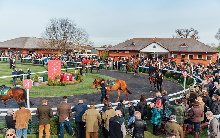 Bangor-On-Dee April 24th StableDuel